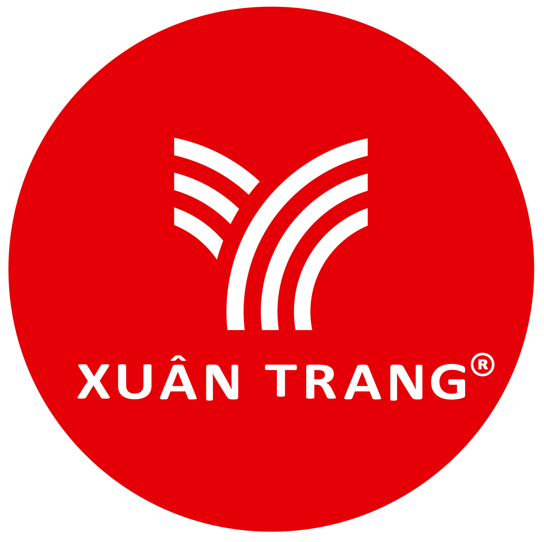 lĩnh vực hoạt động